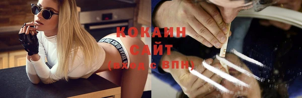 крисы Беломорск
