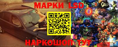 спиды Бердск