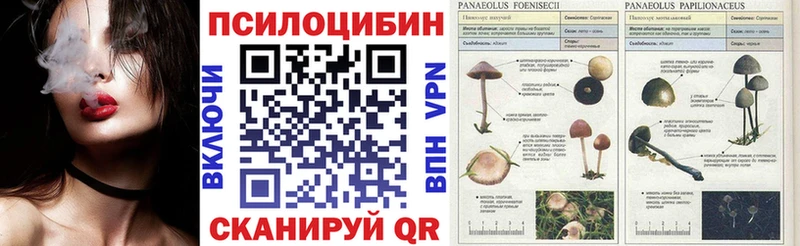 Псилоцибиновые грибы мицелий Верхний Уфалей