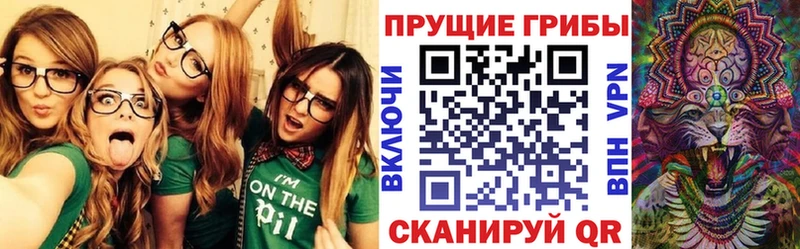 KRAKEN ТОР  Верхний Уфалей  Псилоцибиновые грибы Magic Shrooms 